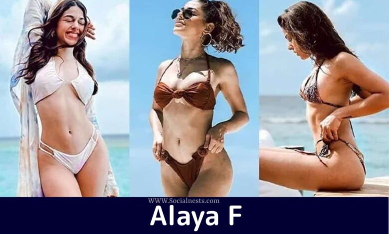 Alaya F Hot Bikini Photos 'Freddy' Diva