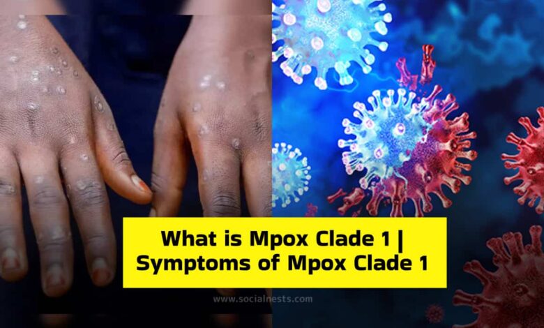 Symptoms of Mpox Clade 1